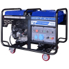 Бензиновый генератор ТСС SGG 12000EHLA