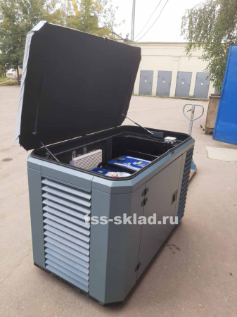 Дизельный генератор ТСС SDG 7000EH3A в Кожухе 1200-Winter с Блоком АВР-С 9000D/230/400