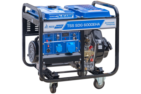 Дизельный генератор ТСС SDG 6000EHA в Кожухе 1200-Winter с Блоком АВР-С 9000D/230