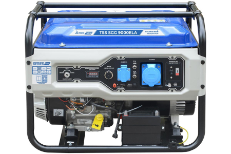 Бензиновый генератор ТСС SGG 9000ELA в Кожухе 1200-Winter с Блоком АВР-C 9000/230