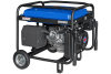 Бензиновый генератор TSS SGG 6000EHNA Duplex в Кожухе 1200-Winter с Блоком АВР-С 8000/230/400