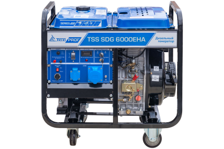 Дизельный генератор ТСС SDG 6000EHA в Кожухе 1200-Winter с Блоком АВР-С 9000D/230